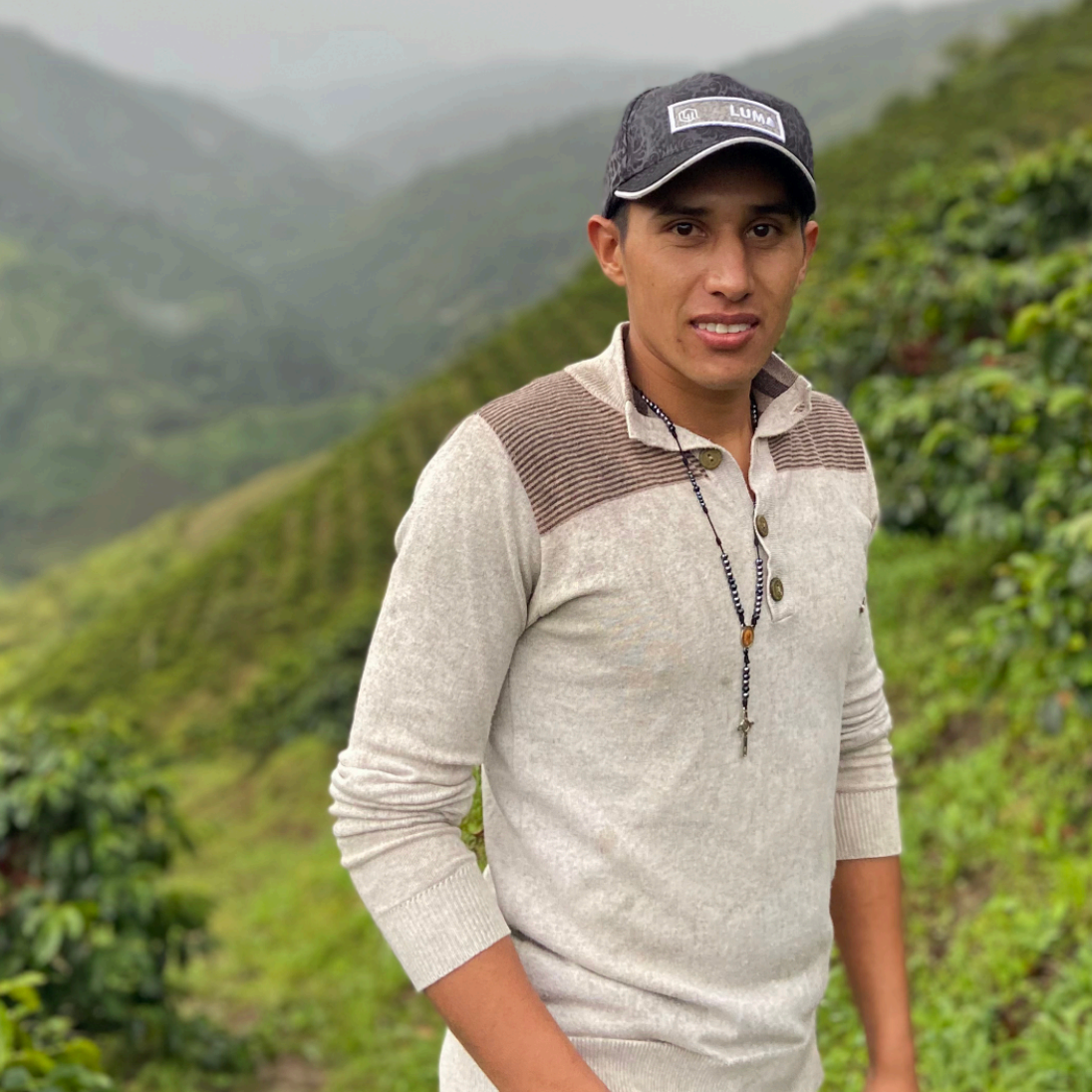 Wilmer Galindez · Washed Pink Bourbon · Colombia
